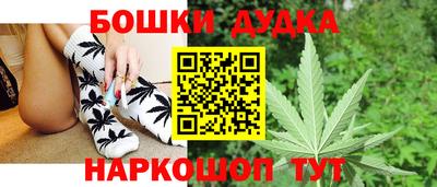 прущие грибы Бийск