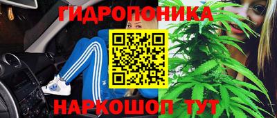 твердый Берёзовский