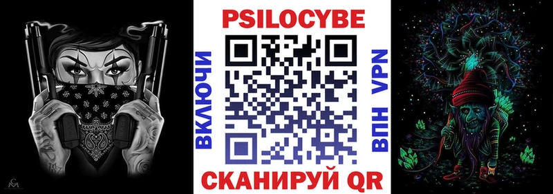 Псилоцибиновые грибы Psilocybe  Заводоуковск 