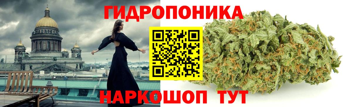 Шишки марихуана планчик Заводоуковск